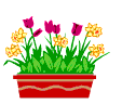 window box