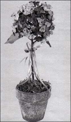 Mother's Day Topiary